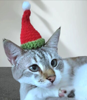Crochet Elf Santa Hats for Cats and Small Dogs - image2